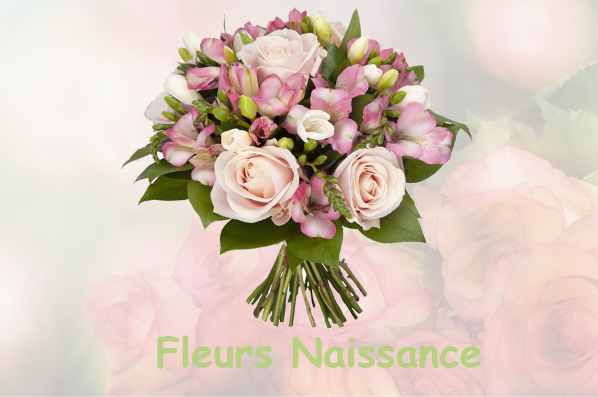 fleurs naissance SAINT-MEARD-DE-GURCON